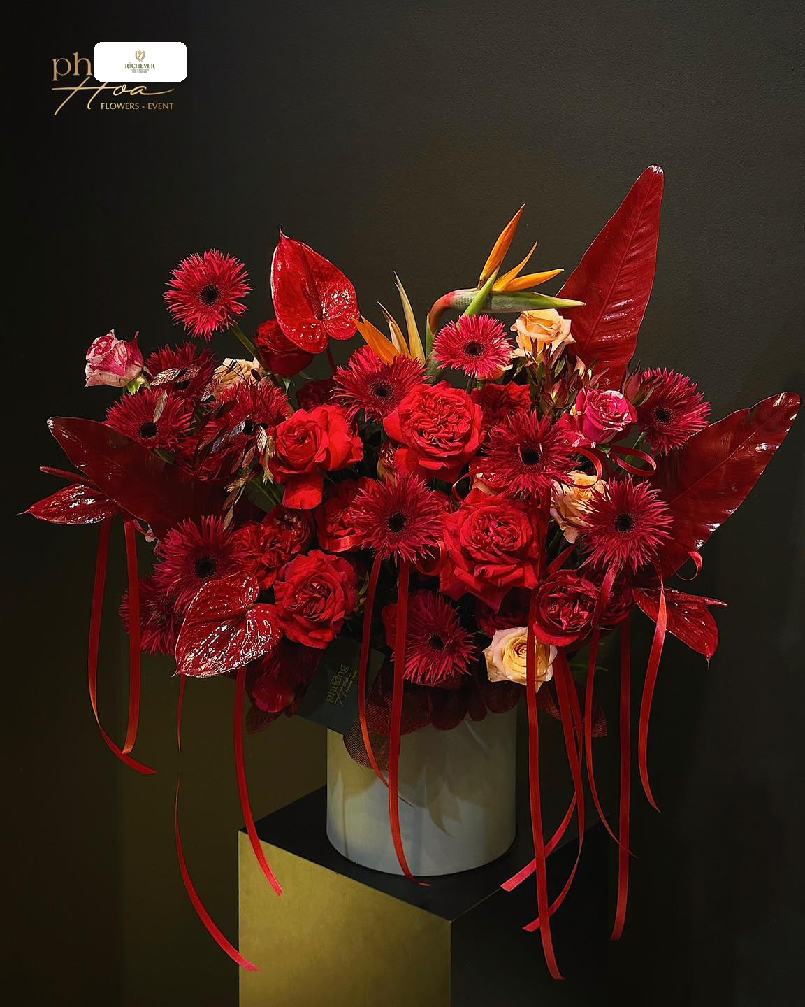 Partner Care album 8